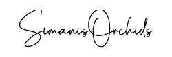 simanis